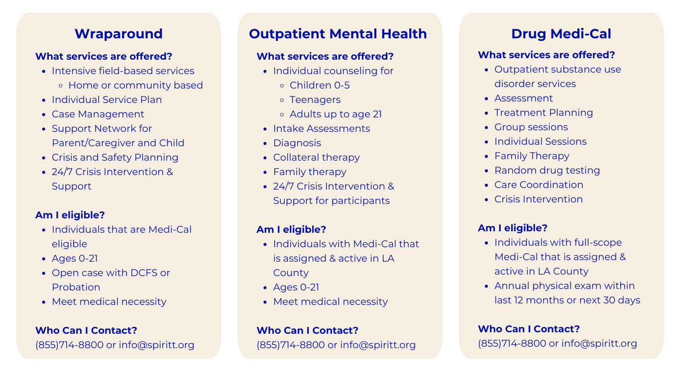 Services Infographic (1)