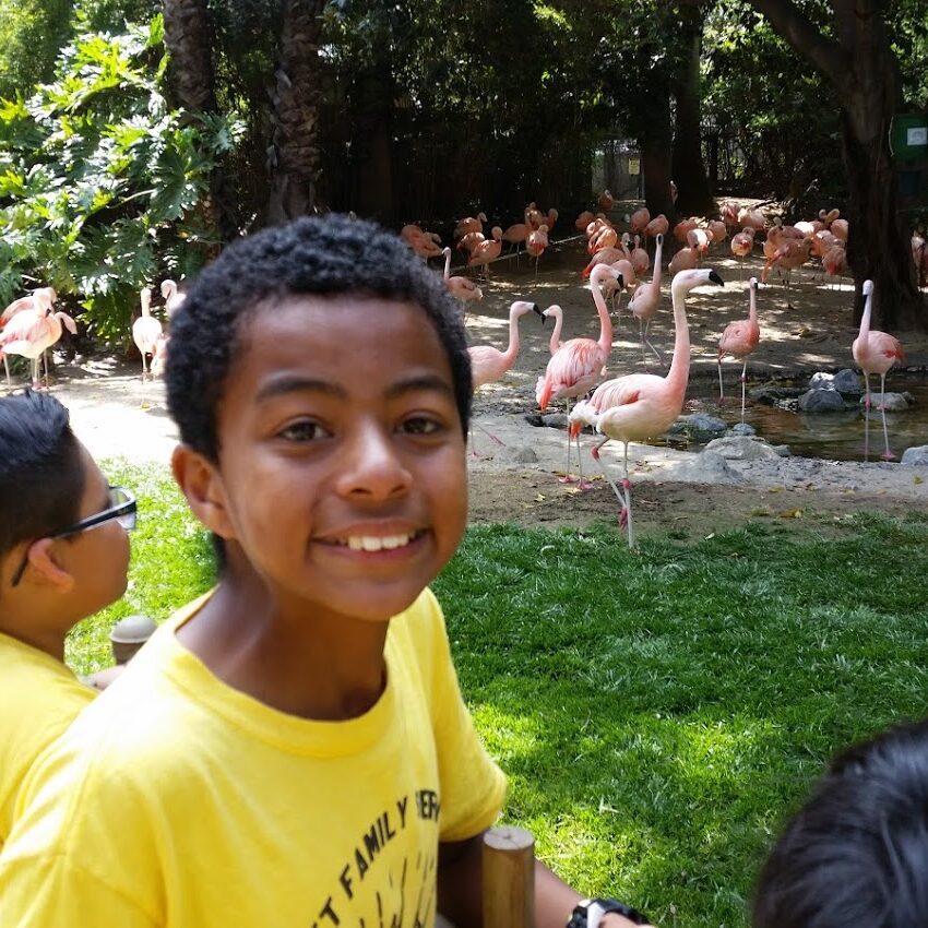 CSBG zoo